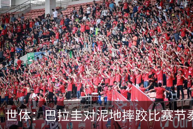 世体：巴拉圭对泥地摔跤比赛节奏游刃有余，彻底打乱法国华丽舞步
